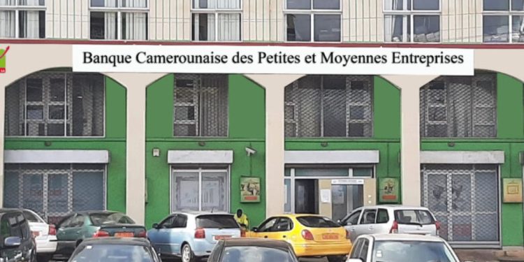 Cameroun : BC-PME affiche une perte de 2 milliards FCFA en 2022, face à de nombreux défis financiers