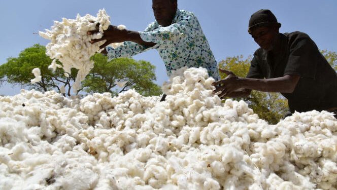 Sénégal : Forte baisse de 12,2% du secteur secondaire en avril
